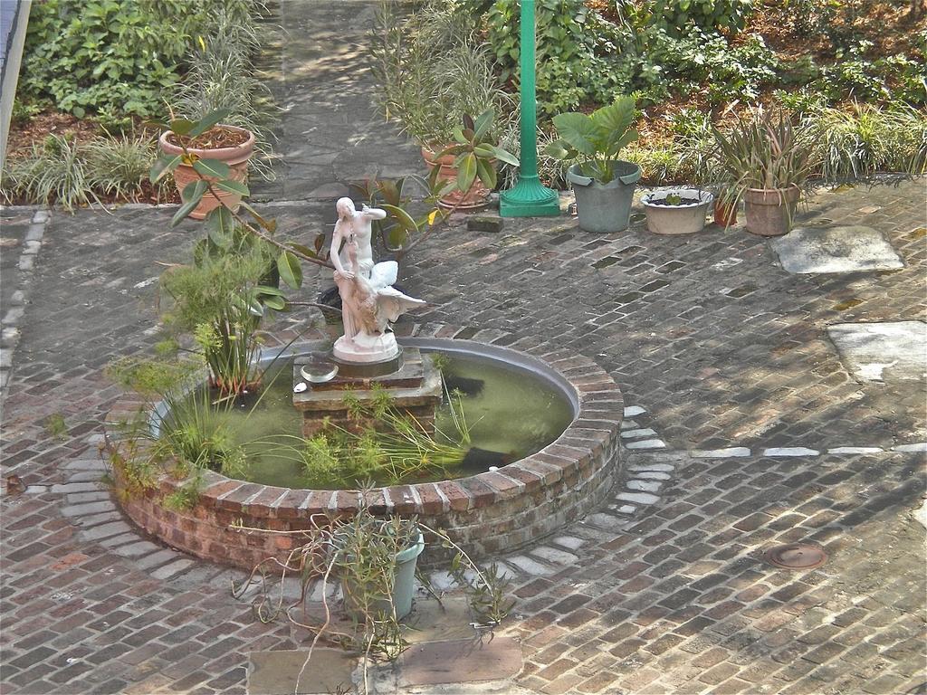 La Belle Esplanade Bed & Breakfast นิวออร์ลีนส์ ภายนอก รูปภาพ